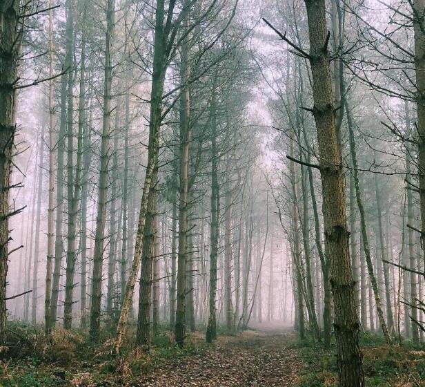 חדר סטנדרט, The Old Postie Bed & Breakfast