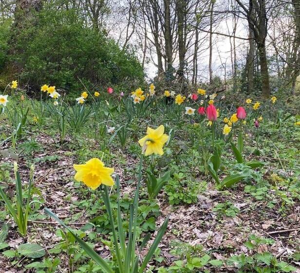 חדר סטנדרט, The Old Postie Bed & Breakfast