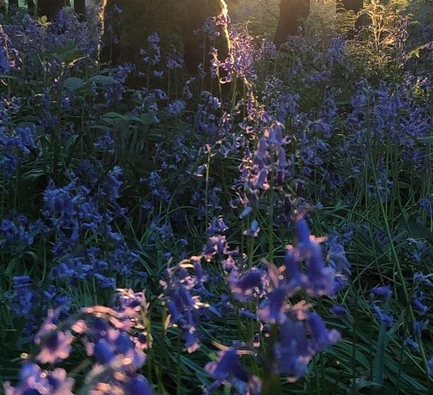 חדר סטנדרט, The Old Postie Bed & Breakfast