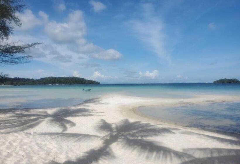 מיטה בחדר משותף, Vagabonds