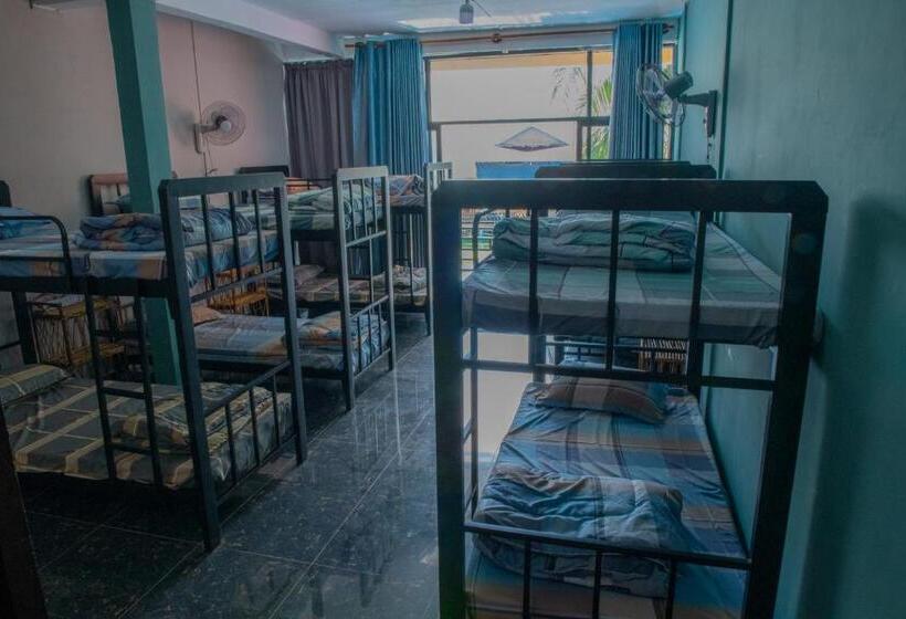 מיטה בחדר משותף, Vagabonds