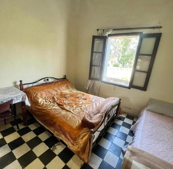 اتاق استاندارد, Du Parc