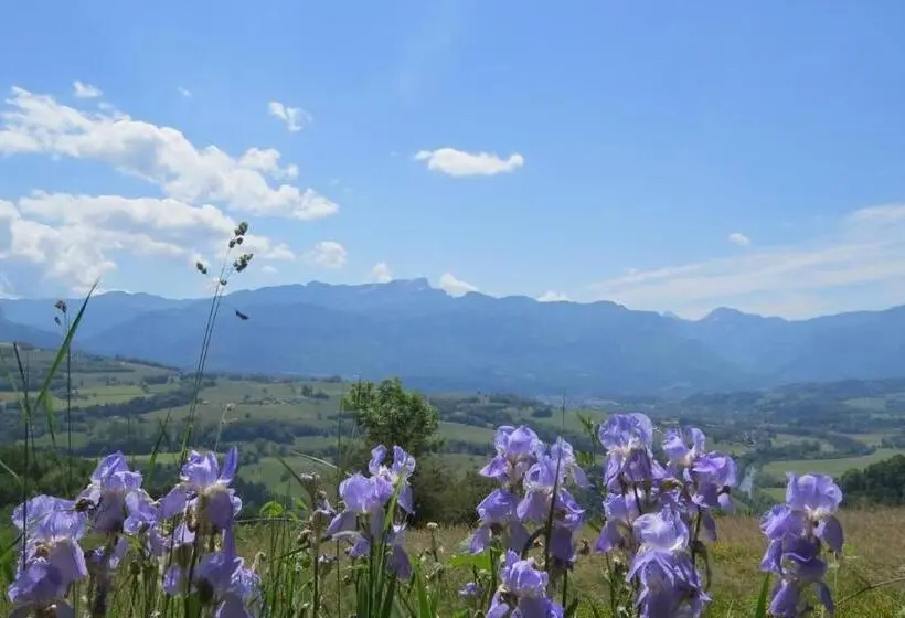 Deluxe-huone, Chartreuse