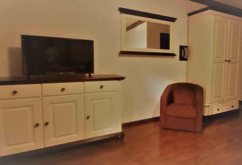 חדר סטנדרט עם מרפסת, Vidra Dacica