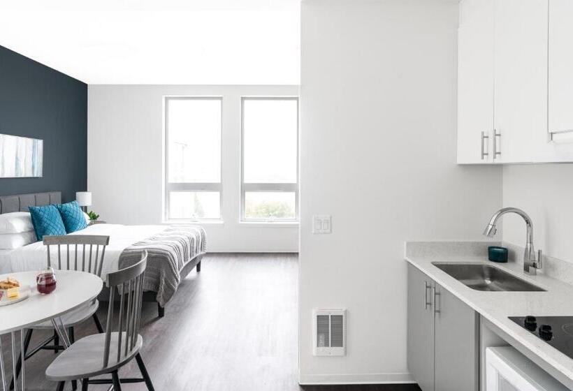 استودیوی استاندارد, Rise Doro Apartments By Barsala