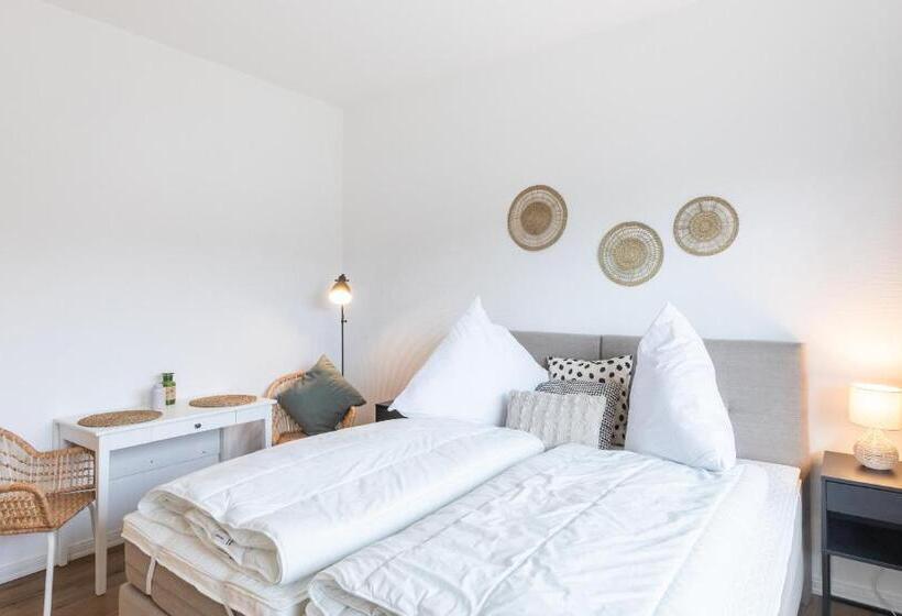 חדר סטודיו סטנדרד, Schifferhaus