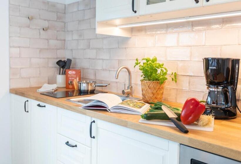 דירה בת חדר שינה 1 עם מרפסת, Schifferhaus