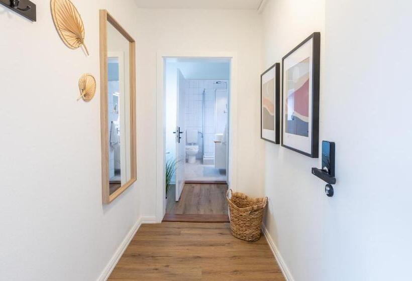 דירת חדר סופריור, Schifferhaus