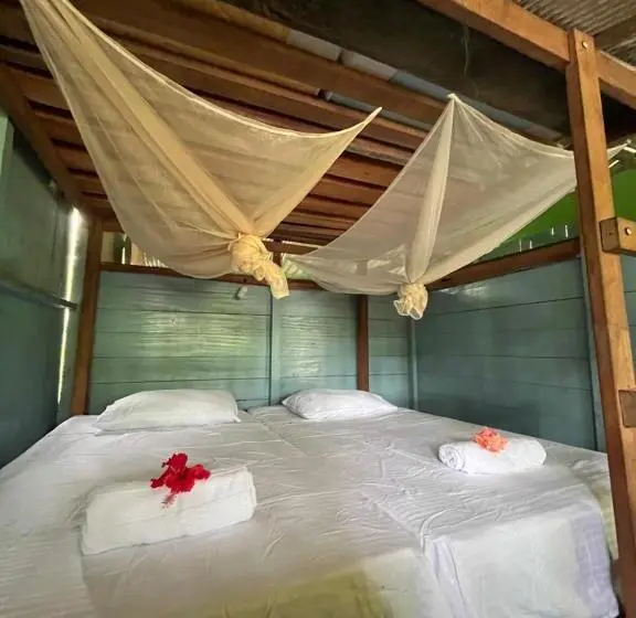 バスルーム共同エコノミー4人部屋, Perla Del Cabo