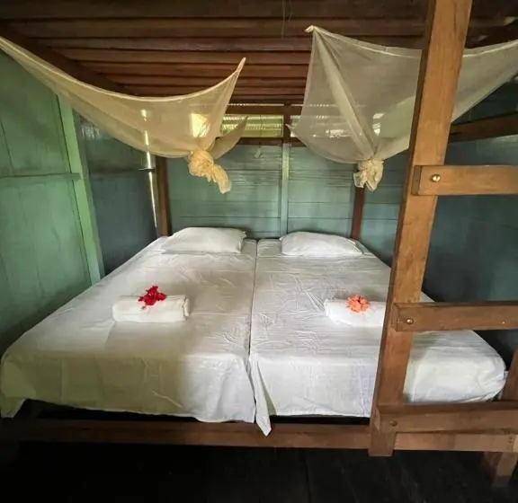 バスルーム共同エコノミー4人部屋, Perla Del Cabo