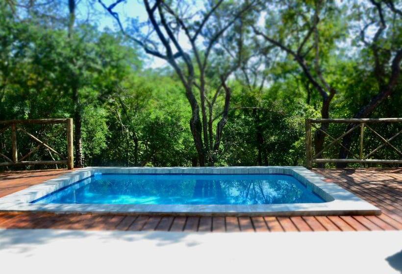 اتاق لوکس با تخت بزرگ, Kholiwe On Kruger Lodge & Safaris