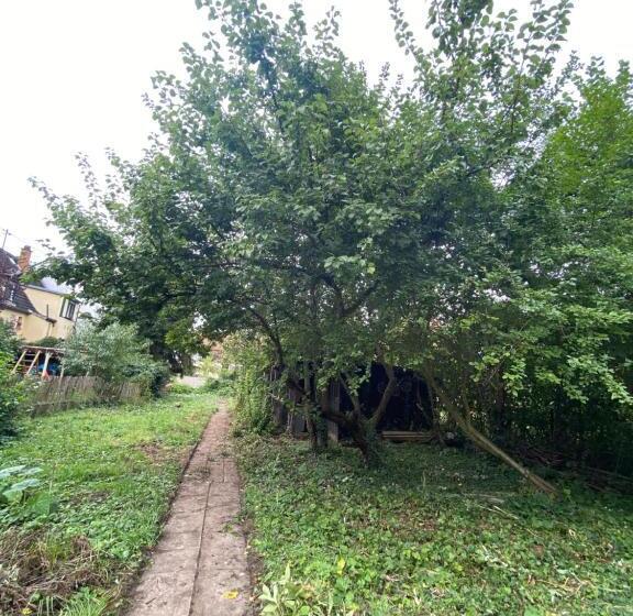 آپارتمان 1 خوابه با چشم‌انداز باغ, Annie´s Appartements