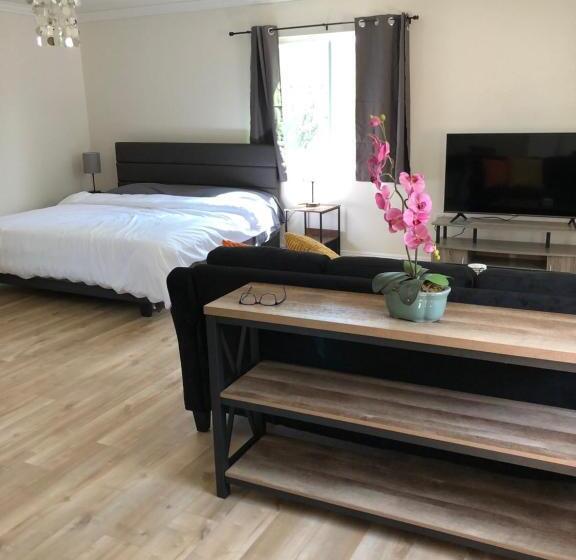 غرفة قياسية, Brand New Room With Essentials