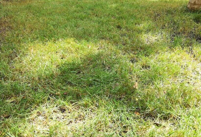 اتاق استاندارد, Chez Vous