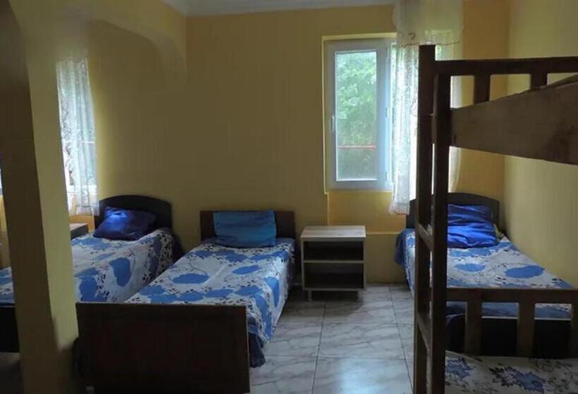 اتاق خانوادگی, Ok House!