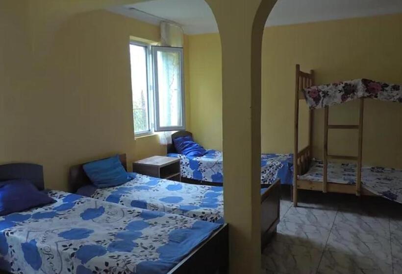 اتاق خانوادگی, Ok House!