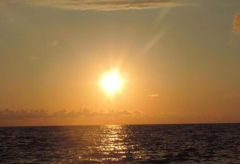 اتاق خانوادگی با چشم‌انداز دریا, Ok House!