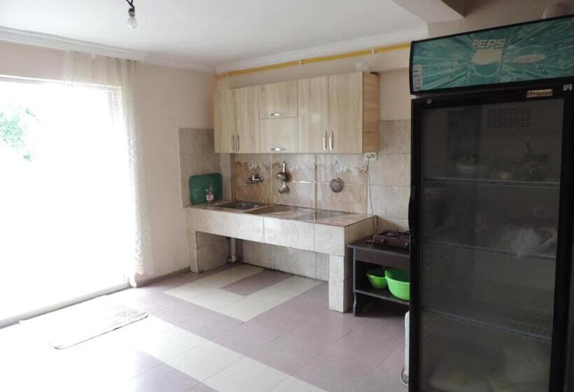 اتاق لوکس, Ok House!