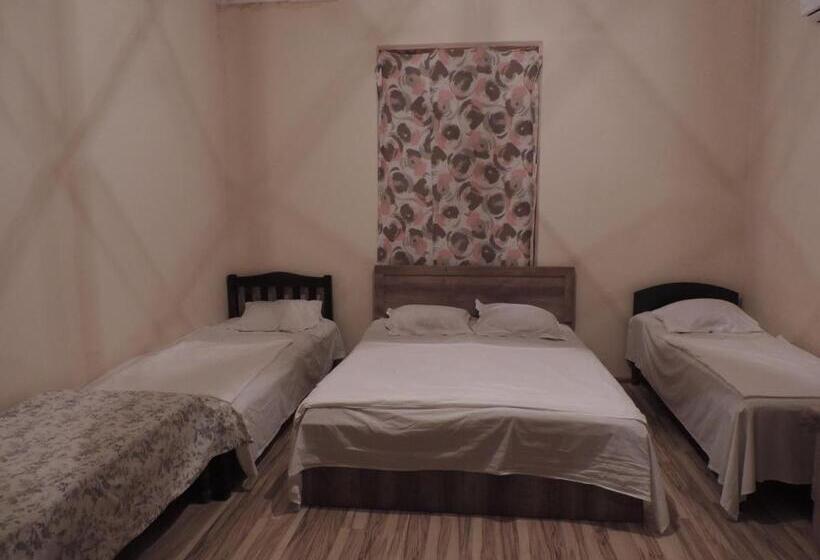 اتاق خانوادگی, Ok House!