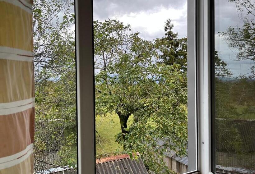 اتاق لوکس, Ok House!