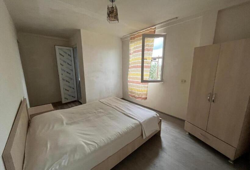 اتاق استاندارد, Ok House!