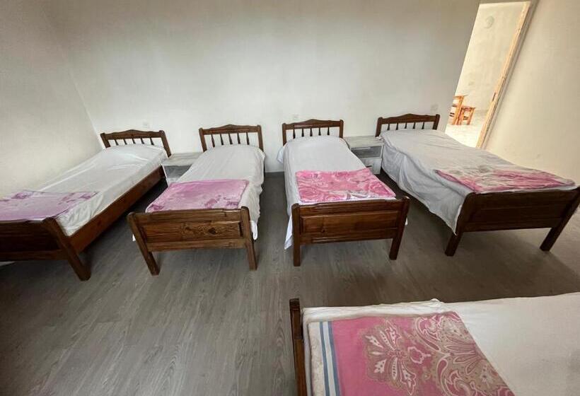 تختخواب در اتاق مشترک, Ok House!