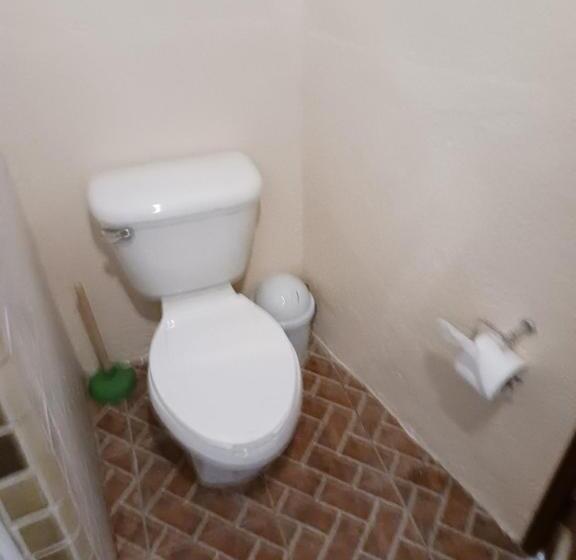 Apartamento 1 Quarto Rés-do-chão, Posada Rosa