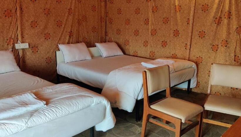 סוויטת סופריור, Reva Tent City