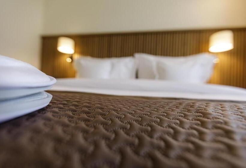 デラックスルーム, D Avenue Boutique Hotel Accra