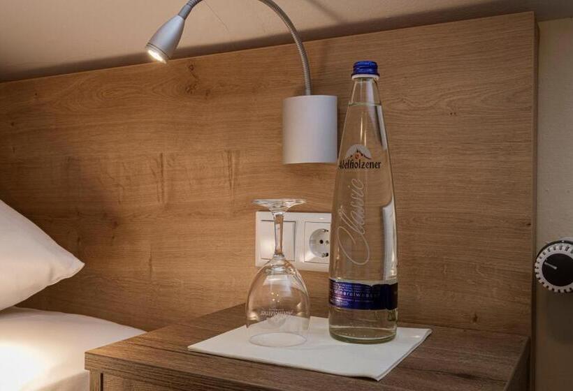 חדר סטנדרט יחיד, Gasthof Hotel Drei Tannen Altdorf