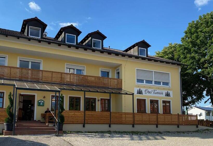 غرفة قياسية فردية, Gasthof Hotel Drei Tannen Altdorf