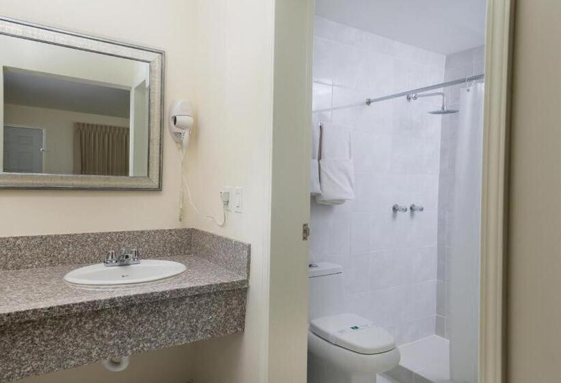 带大床的标准间, Trébol Inn