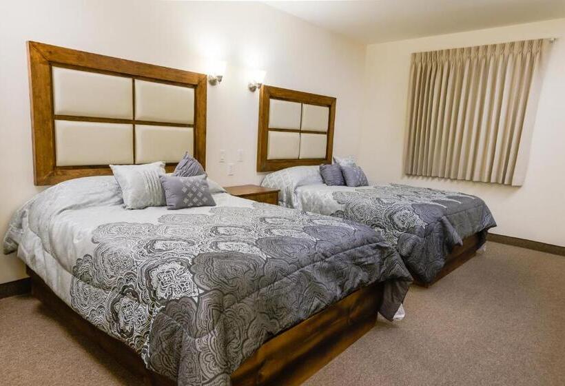 标准间, Trébol Inn