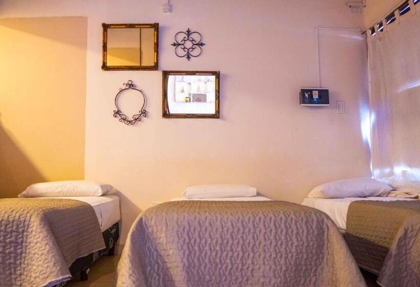 تختخواب در اتاق مشترک, Trotamundos Hostel Salta