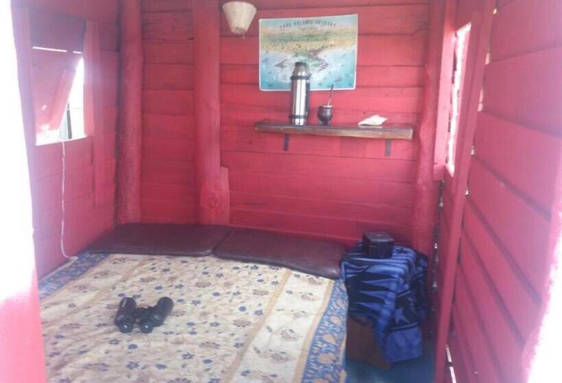 Номер Стандарт Индивидуальный, Alojamiento Corazon De Ballena