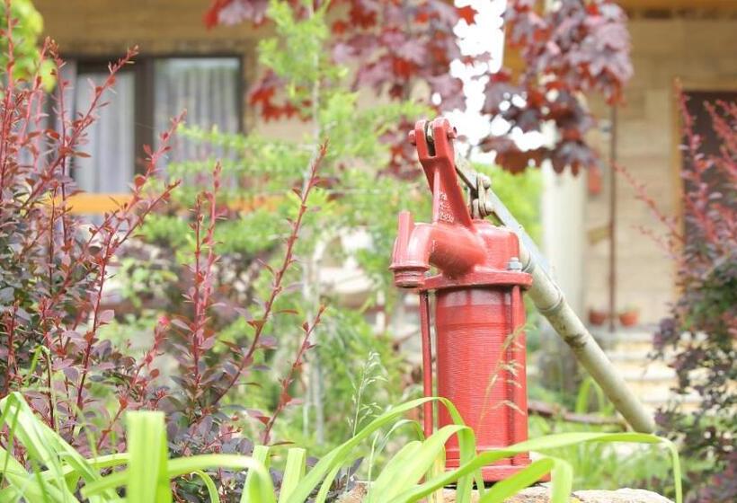 غرفة إقتصادية, Grig House Eco Resort