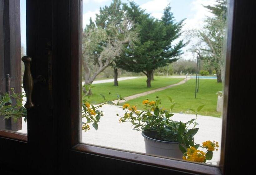 חדר דלוקס נוף לגינה, Gli Ulivi Di Gino