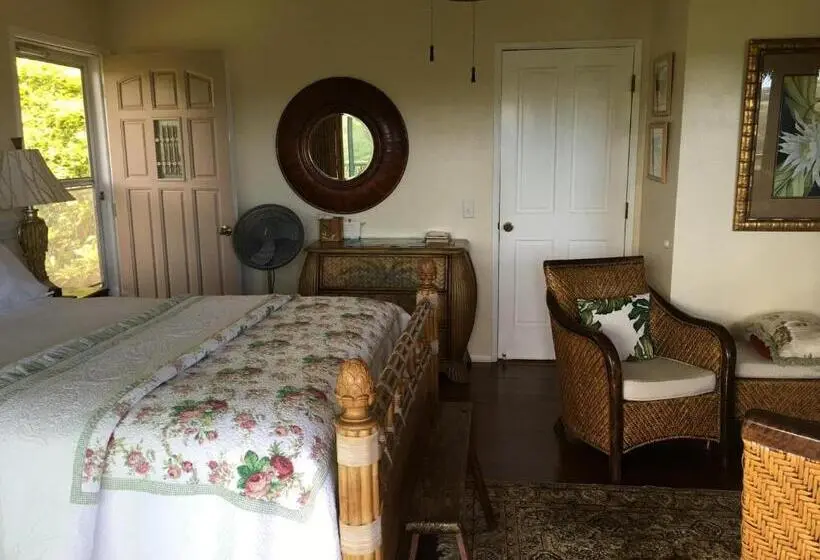 バルコニー付きデラックスルーム, Marjorie S Kauai Inn