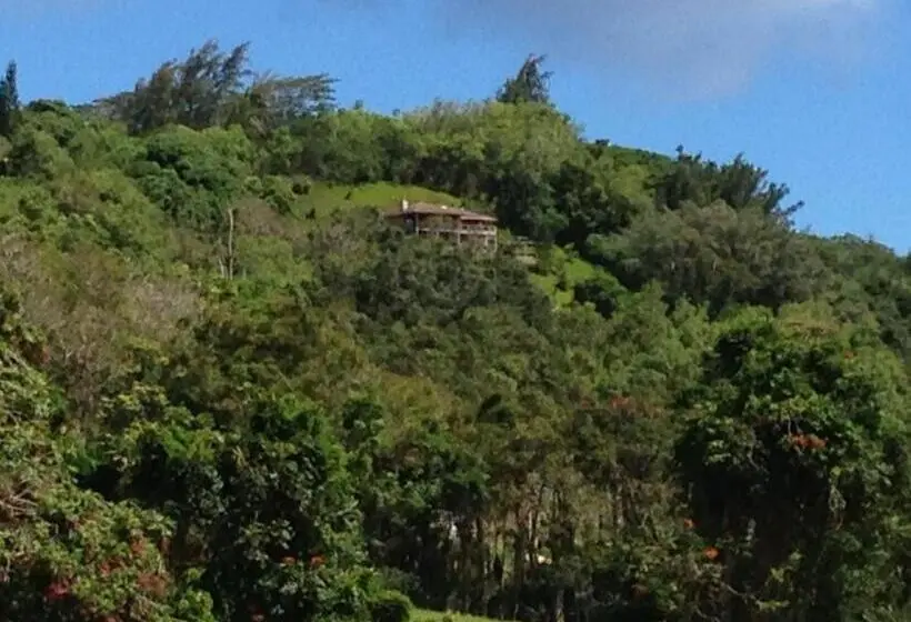 デラックスルーム, Marjorie S Kauai Inn