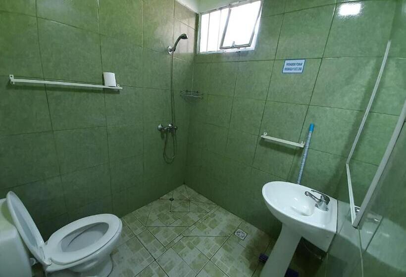 חדר סטנדרט לארבעה, Hostel Richieri