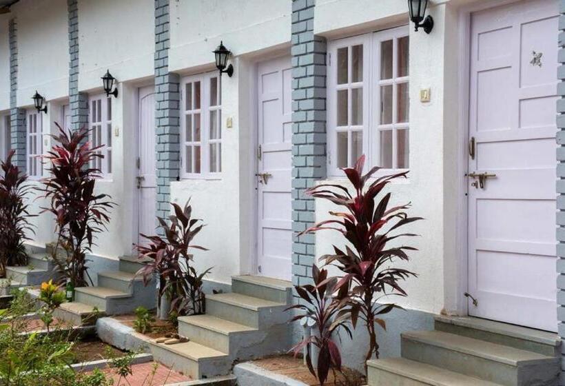 标准间, Arambol Plaza Beach Resort