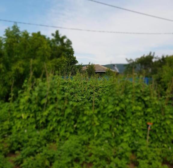 اتاق استاندارد با سرویس بهداشتی مشترک, Ethno House Inn Tianeti