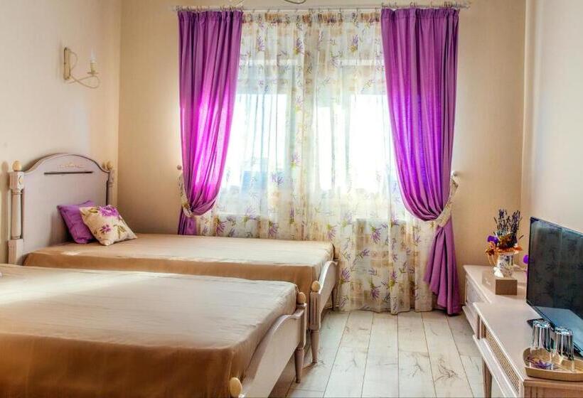 标准间, Pensiunea Agroturistica Floare De Camp