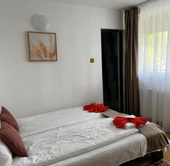 스탠다드 발코니 룸, Pensiunea Andalex