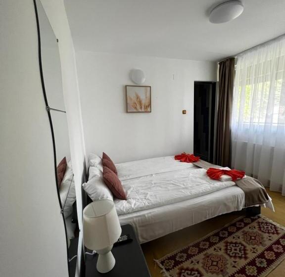 스탠다드 발코니 룸, Pensiunea Andalex