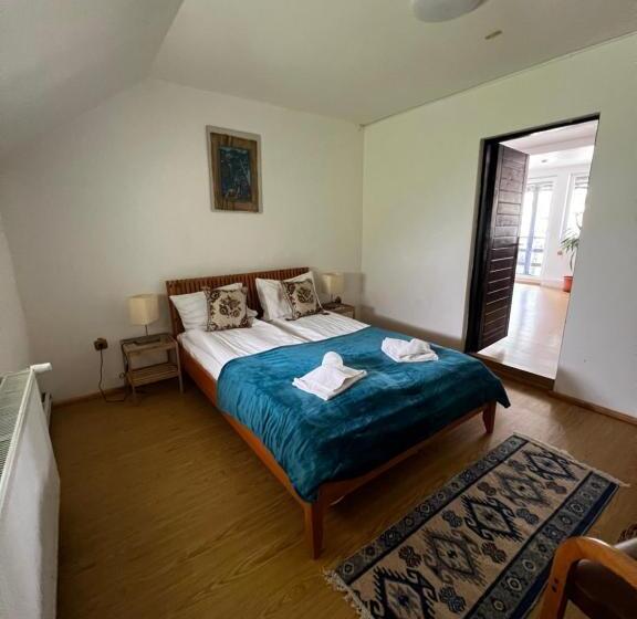 스탠다드 룸, Pensiunea Andalex