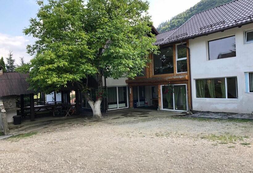 빌라 침실 1개, Pensiunea Andalex