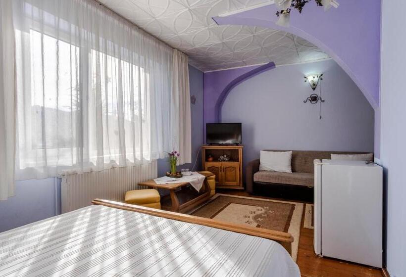 اتاق خانوادگی, Pensiunea Bucovina