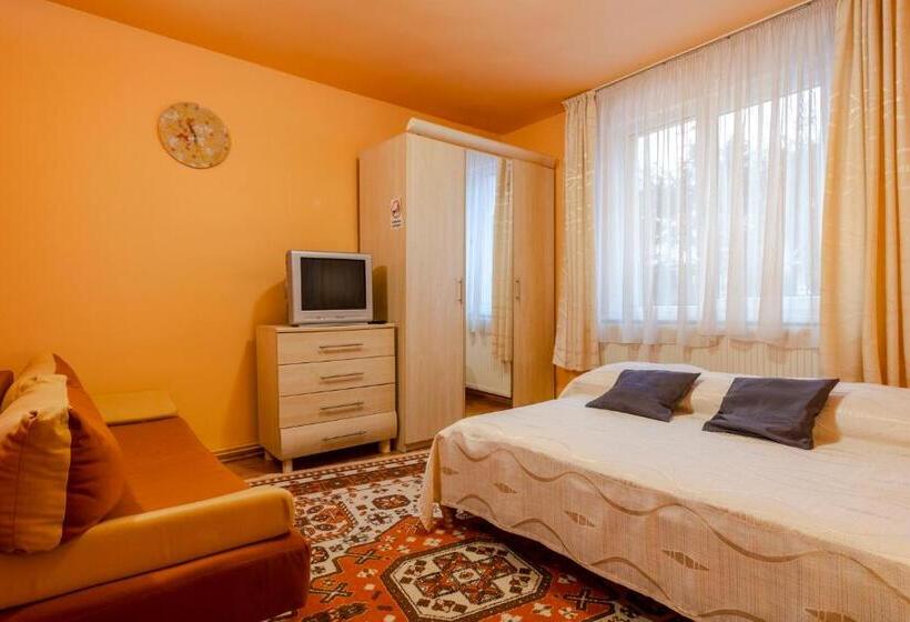 اتاق خانوادگی, Pensiunea Bucovina