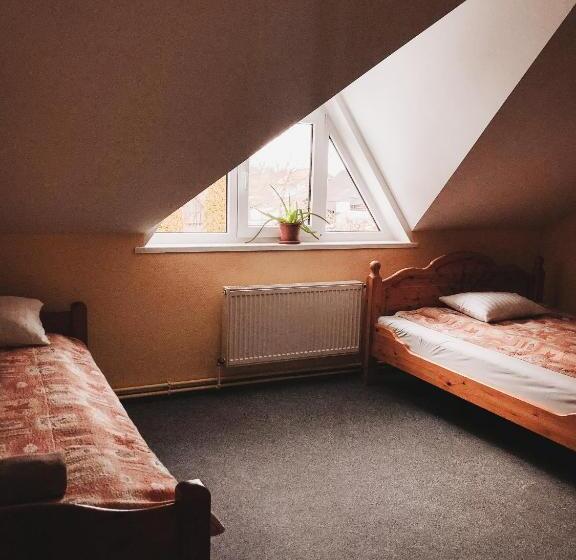 اتاق استاندارد سه تخته با سرویس بهداشتی مشترک, Strenči Guesthouse